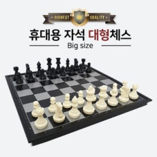 휴대용 자석 체스판(대) - 수업용 가능